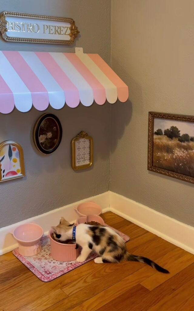 Cat eating from pink bowls in a playful bistro-style feeding station with a striped awning, framed artwork, and a personalized Bistro Perez sign.