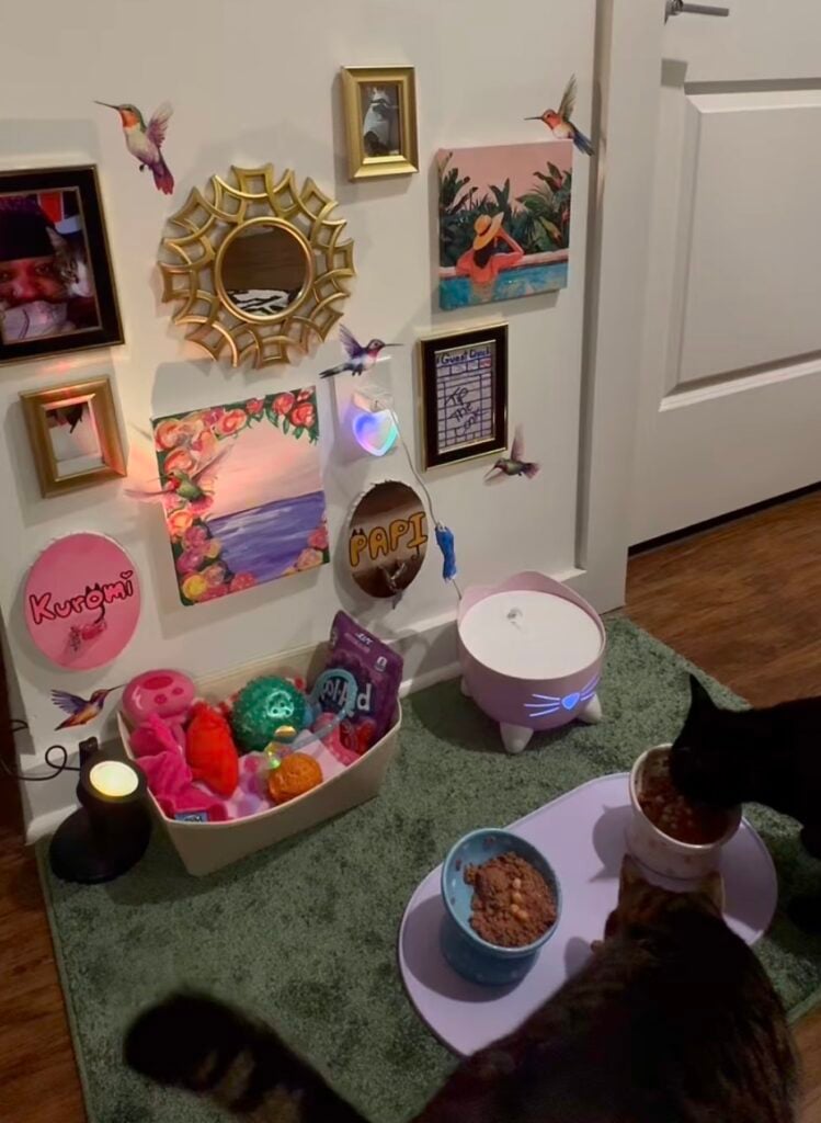 Colorful cat feeding station gallery wall with framed photos, artwork, hummingbird decorations, toys, and two cats eating from raised food bowls.