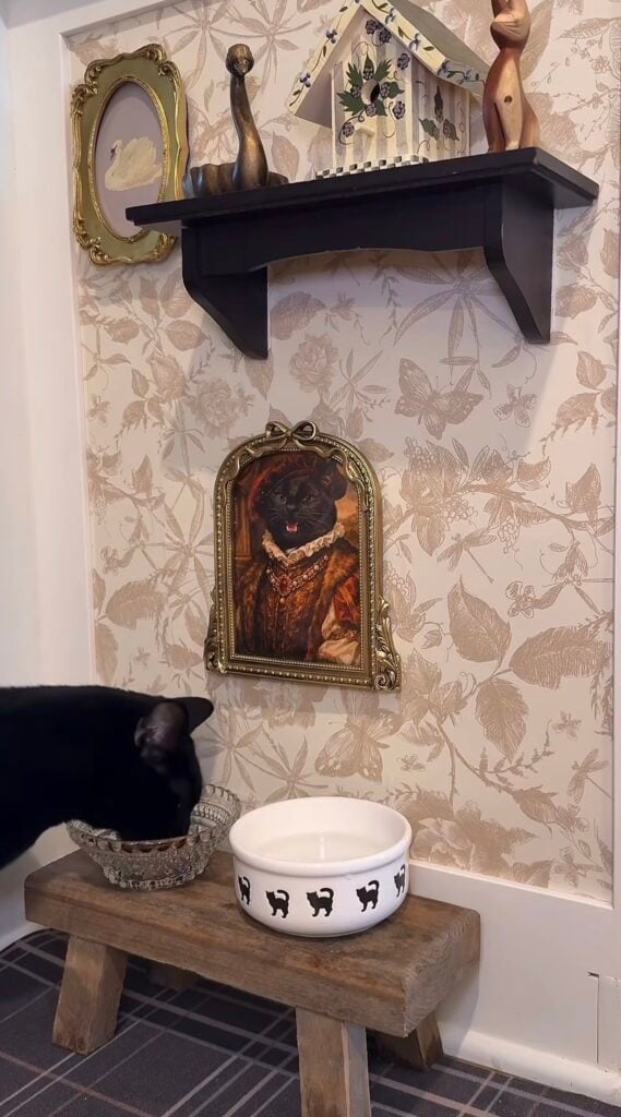 Black cat at a rustic feeding station beneath a vintage-style cat gallery wall with botanical wallpaper, ornate framed cat portrait, shelf, and collected decor.