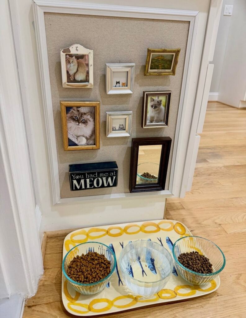 Cat feeding station with three glass bowls beneath a framed gallery wall featuring cat photos, miniature artwork, a mirror, and a “You had me at MEOW” sign.