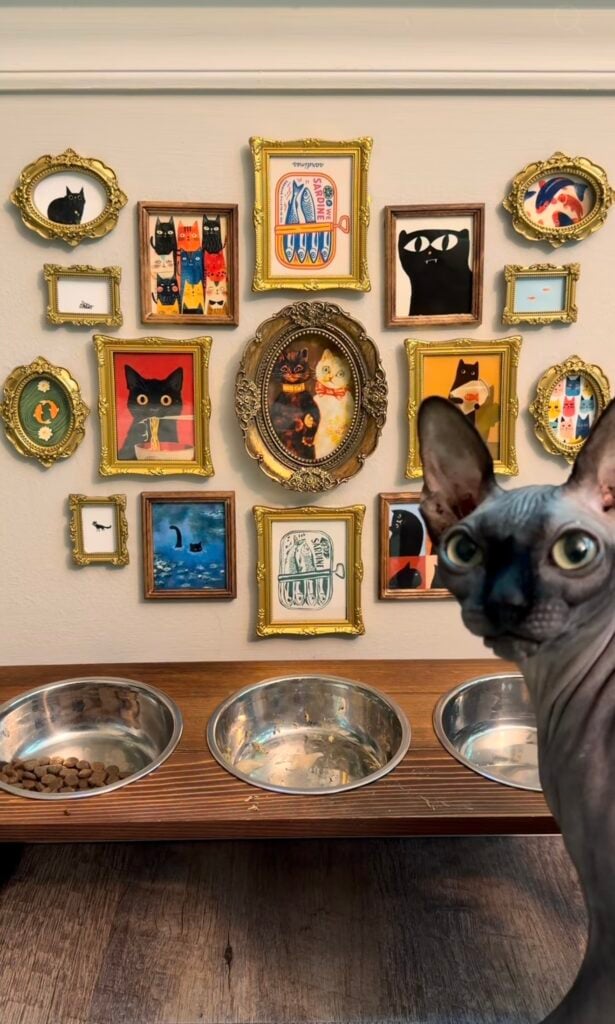 Sphynx cat beside a wooden feeding station with three metal bowls and an eclectic cat gallery wall filled with colorful artwork in vintage gold frames.