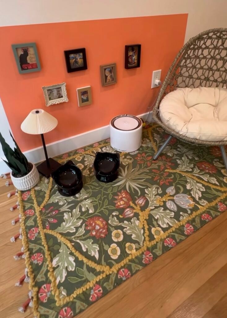 Eclectic cat feeding station gallery wall with framed cat artwork, black cat bowls, floral rug, lamp and woven cat chair against a coral wall.