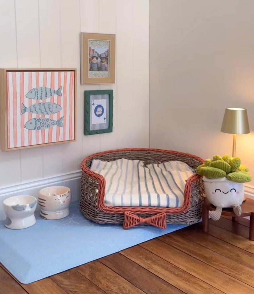 Cozy cat feeding area with wicker cat bed, ceramic cat bowls and colorful framed artwork arranged as a small cat gallery wall.