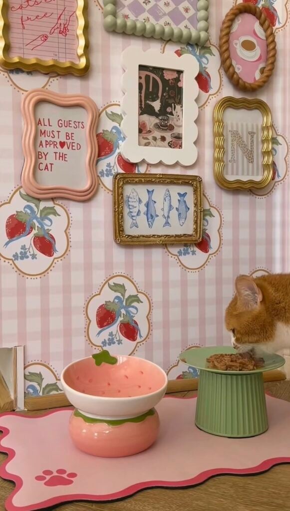 Pink cat feeding station with strawberry wallpaper, colorful frames, cat-themed artwork and an orange and white cat eating from a raised bowl.