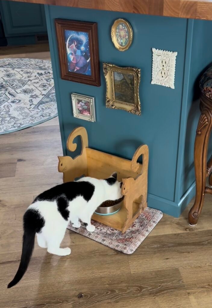 Black and white cat eating from a wooden cat-shaped feeding station beneath a small gallery wall displayed on a deep teal kitchen island.